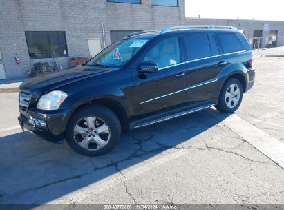 Lot #2992832376 2011 MERCEDES-BENZ GL 450 4MATIC