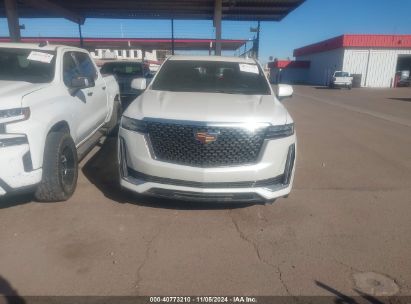 Lot #3037533757 2023 CADILLAC ESCALADE ESV 2WD PREMIUM LUXURY