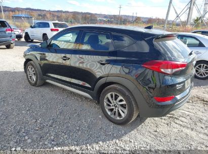 Lot #2995295341 2017 HYUNDAI TUCSON SE PLUS