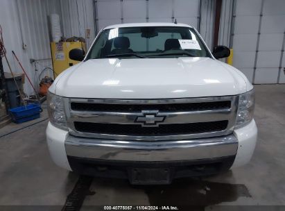 Lot #2990352351 2008 CHEVROLET SILVERADO 1500 WORK TRUCK