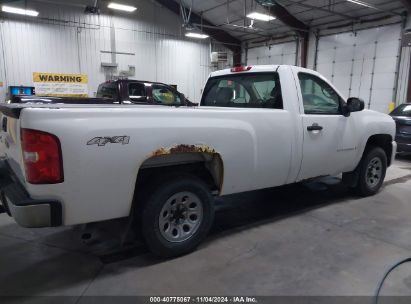 Lot #2990352351 2008 CHEVROLET SILVERADO 1500 WORK TRUCK