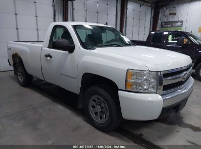 Lot #2990352351 2008 CHEVROLET SILVERADO 1500 WORK TRUCK