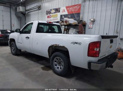 Lot #2990352351 2008 CHEVROLET SILVERADO 1500 WORK TRUCK