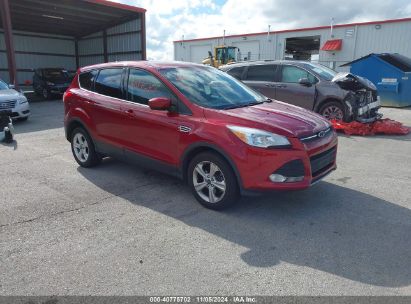 Lot #3035084438 2014 FORD ESCAPE SE