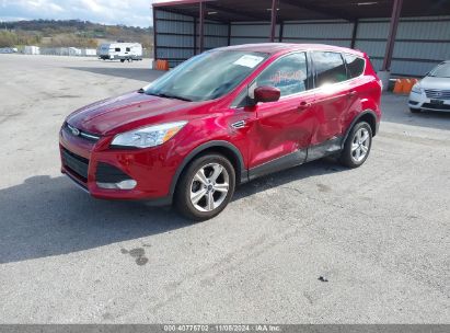 Lot #3035084438 2014 FORD ESCAPE SE