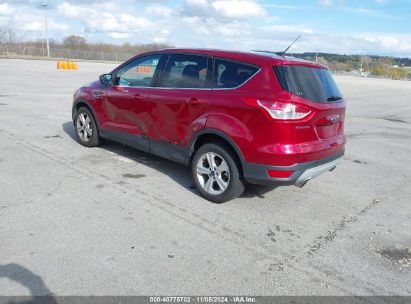 Lot #3035084438 2014 FORD ESCAPE SE