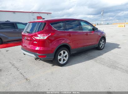 Lot #3035084438 2014 FORD ESCAPE SE