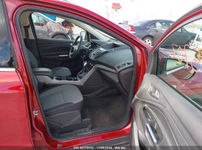 Lot #3035084438 2014 FORD ESCAPE SE