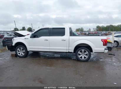 Lot #3007846302 2016 FORD F-150 PLATINUM