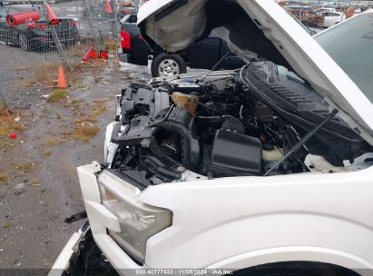 Lot #3007846302 2016 FORD F-150 PLATINUM