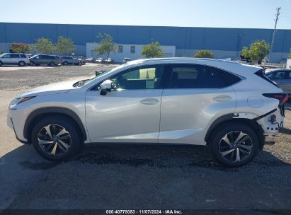 Lot #2989127403 2019 LEXUS NX 300