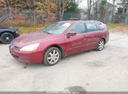 Lot #2992821926 2005 HONDA ACCORD 3.0 EX