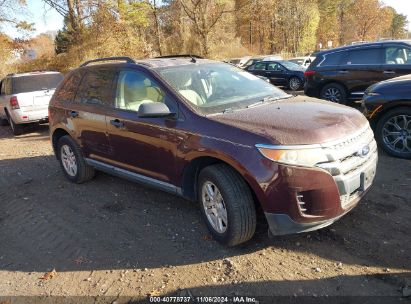 Lot #2995295281 2011 FORD EDGE SE