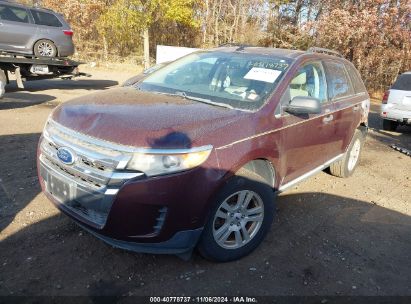 Lot #2995295281 2011 FORD EDGE SE