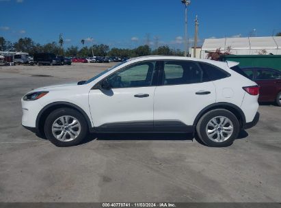 Lot #2992821928 2020 FORD ESCAPE S