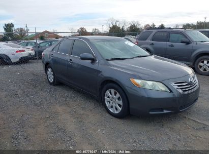 Lot #2995295218 2009 TOYOTA CAMRY HYBRID