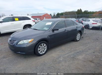 Lot #2995295218 2009 TOYOTA CAMRY HYBRID