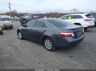 Lot #2995295218 2009 TOYOTA CAMRY HYBRID