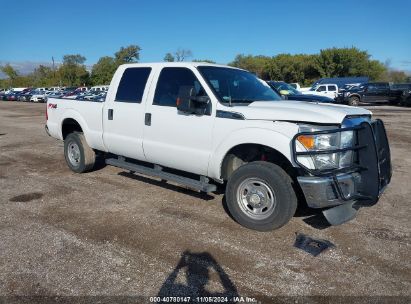 Lot #3053063602 2014 FORD F-250 XL