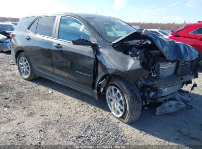 Lot #2992821868 2022 CHEVROLET EQUINOX FWD 1FL