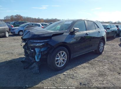 Lot #2992821868 2022 CHEVROLET EQUINOX FWD 1FL