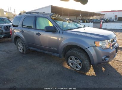 Lot #3035094924 2008 FORD ESCAPE HYBRID