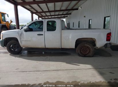 Lot #2982985582 2008 CHEVROLET SILVERADO 1500 WORK TRUCK