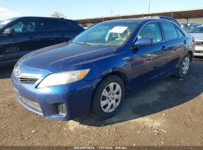 Lot #3035073079 2010 TOYOTA CAMRY HYBRID