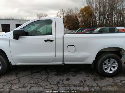 Lot #2992821606 2021 CHEVROLET SILVERADO 1500 2WD  LONG BED WT