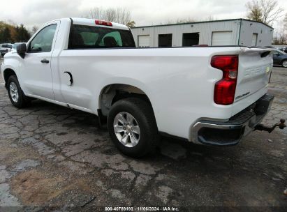 Lot #2992821606 2021 CHEVROLET SILVERADO 1500 2WD  LONG BED WT