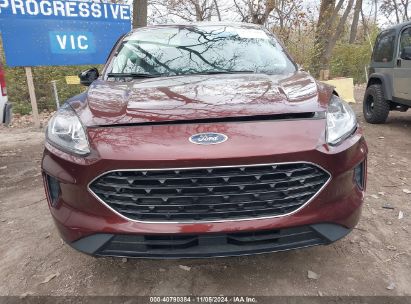 Lot #3029545976 2021 FORD ESCAPE SE