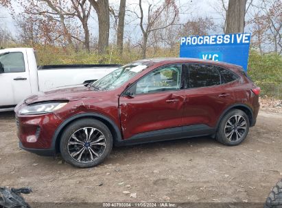 Lot #3029545976 2021 FORD ESCAPE SE