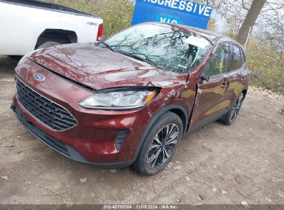 Lot #3029545976 2021 FORD ESCAPE SE