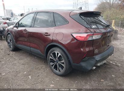 Lot #3029545976 2021 FORD ESCAPE SE