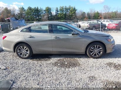 Lot #3047438552 2017 CHEVROLET MALIBU 1LT