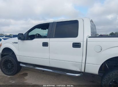 Lot #3007846301 2012 FORD F-150 XLT