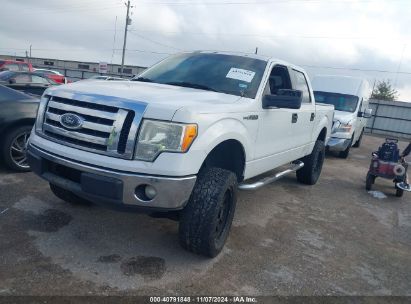 Lot #3007846301 2012 FORD F-150 XLT