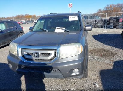 Lot #2992821555 2010 HONDA PILOT EX-L