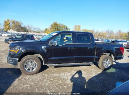 Lot #2992829012 2024 FORD F-150 XLT