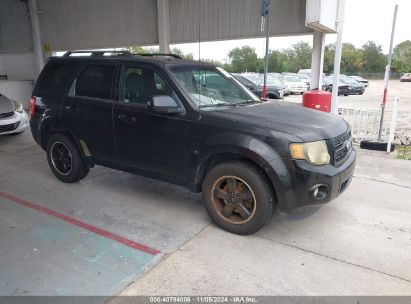 Lot #3035072912 2011 FORD ESCAPE XLT