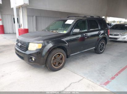 Lot #3035072912 2011 FORD ESCAPE XLT