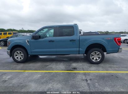 Lot #2990346689 2023 FORD F-150 XLT