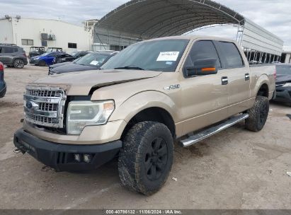 Lot #3050085894 2014 FORD F-150 XLT