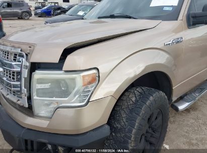 Lot #3050085894 2014 FORD F-150 XLT