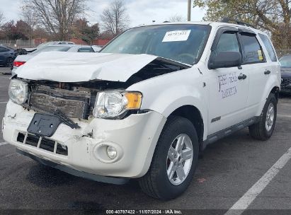 Lot #3037525948 2008 FORD ESCAPE HYBRID