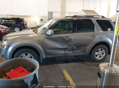 Lot #3051074035 2008 FORD ESCAPE HYBRID