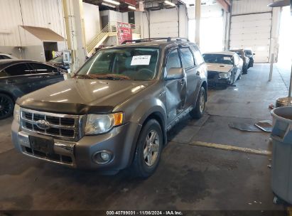 Lot #3051074035 2008 FORD ESCAPE HYBRID