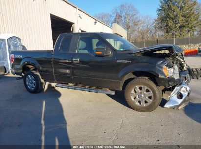 Lot #3035073380 2014 FORD F-150 XLT