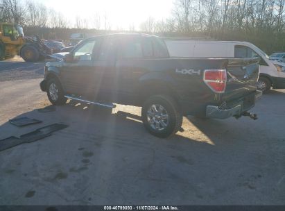 Lot #3035073380 2014 FORD F-150 XLT