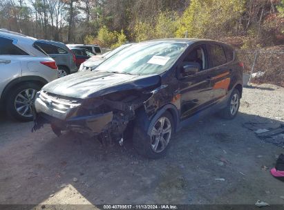 Lot #3052075966 2014 FORD ESCAPE SE